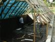 tn_gallery_1_5279.jpg