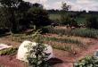 tn_gallery_5_2740.jpg