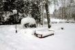tn_gallery_6_2_19208.jpg