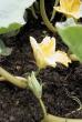 tn_gallery_6_3_4542.jpg