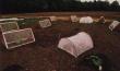 tn_gallery_6_3_7722.jpg