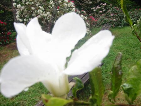 gallery_5634_17_120321.jpg