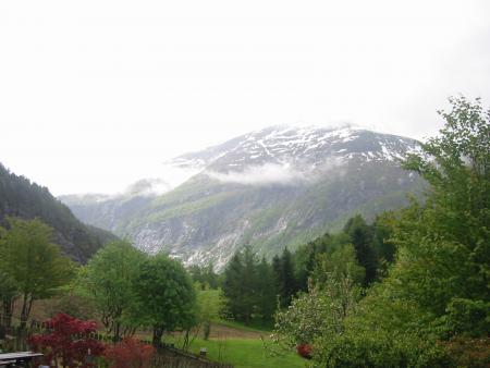 gallery_5634_17_31241.jpg