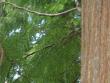 tn_gallery_5634_17_121502.jpg