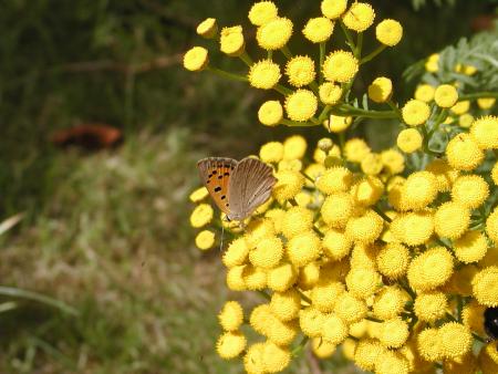 gallery_9464_27_308346.jpg