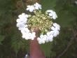 tn_gallery_208_25_16345.jpg