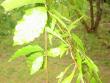 tn_gallery_5634_17_98999.jpg