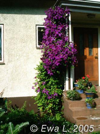 gallery_579_55_20443.jpg