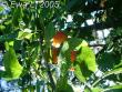tn_gallery_579_16_2057.jpg