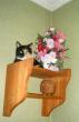 tn_gallery_579_38_20858.jpg