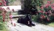 tn_gallery_579_38_46934.jpg