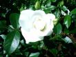tn_gallery_579_5_33441.jpg
