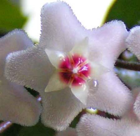 gallery_208_57_9140.jpg