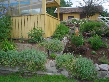 gallery_6109_42_52729.jpg