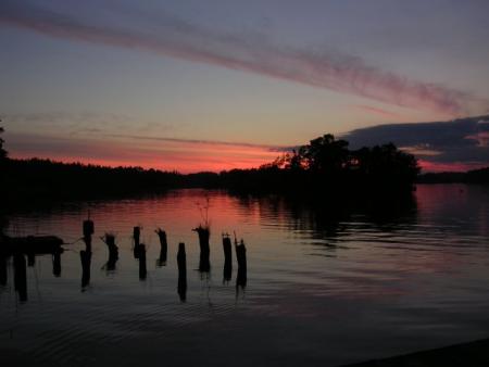 gallery_8938_54_29894.jpg