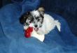 tn_gallery_6301_44_26575.jpg