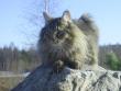 tn_gallery_9280_36_194466.jpg