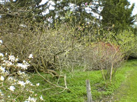 gallery_5634_55_102605.jpg