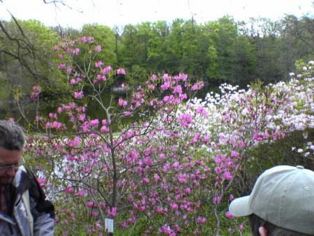 gallery_5634_55_194436.jpg