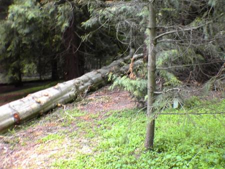 gallery_5634_55_223931.jpg