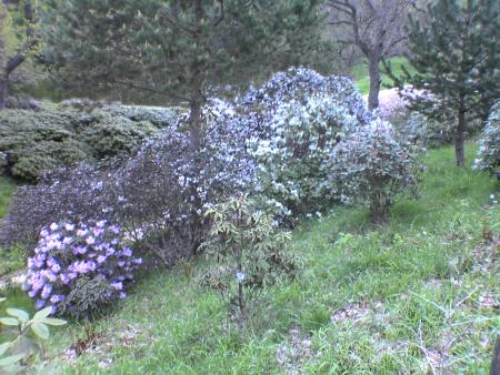 gallery_5634_55_229812.jpg