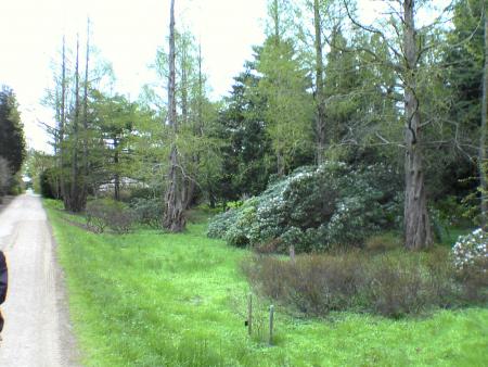 gallery_5634_55_265819.jpg