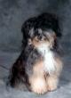 tn_gallery_3723_36_9557.jpg