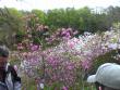 tn_gallery_5634_55_194436.jpg