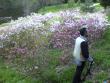 tn_gallery_5634_55_325552.jpg