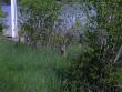 tn_gallery_8938_54_17374.jpg
