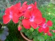 tn_gallery_2746_70_25163.jpg