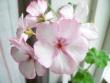 tn_gallery_2746_70_56349.jpg