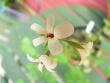 tn_gallery_2746_70_68085.jpg