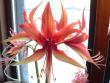 tn_gallery_2746_71_45781.jpg