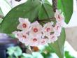 tn_gallery_2746_71_9947.jpg