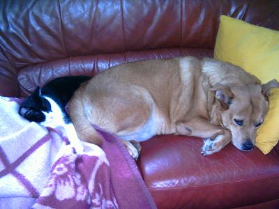 gallery_1085_16_31712.jpg
