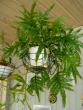 tn_gallery_3363_8_50296.jpg