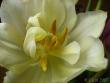 tn_gallery_4113_76_15623.jpg