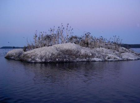 gallery_3363_35_16872.jpg