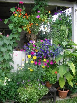 gallery_5006_74_4517.jpg