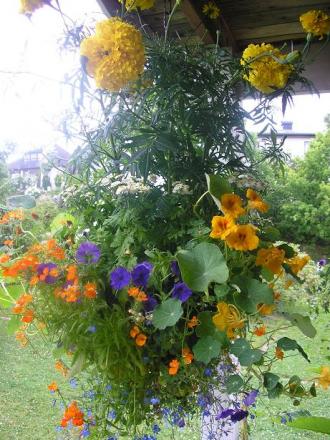 gallery_5006_74_66335.jpg