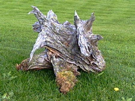 gallery_7111_79_32627.jpg