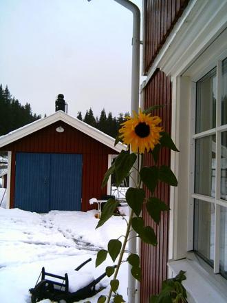 gallery_7111_79_52917.jpg