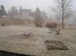 tn_gallery_3363_12_89839.jpg