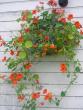 tn_gallery_5006_74_12369.jpg