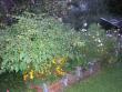 tn_gallery_5006_74_79546.jpg