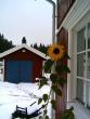 tn_gallery_7111_79_52917.jpg