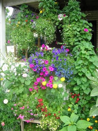 gallery_5006_74_1641.jpg