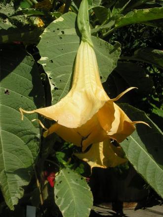 gallery_5006_74_5944.jpg
