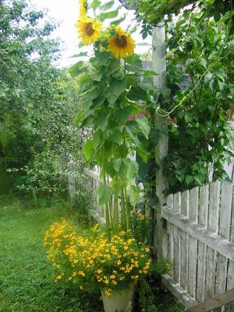 gallery_5006_74_69922.jpg